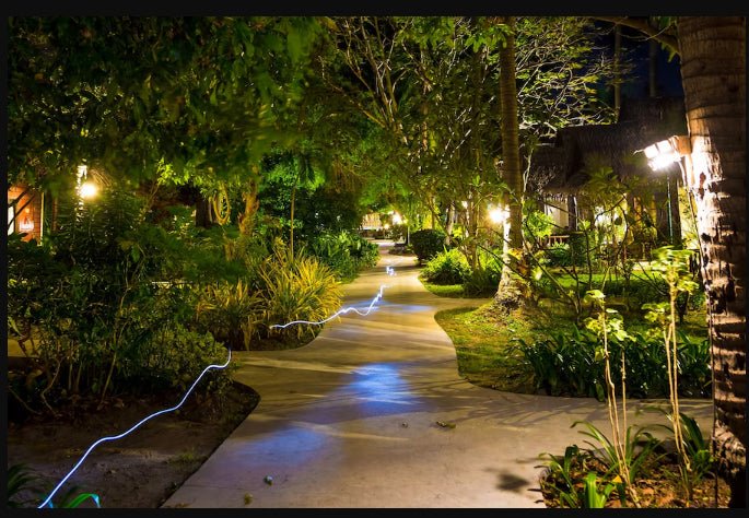 Illuminate Your Path: The Best Waterproof Solar Lights for Gardens - Hardoll