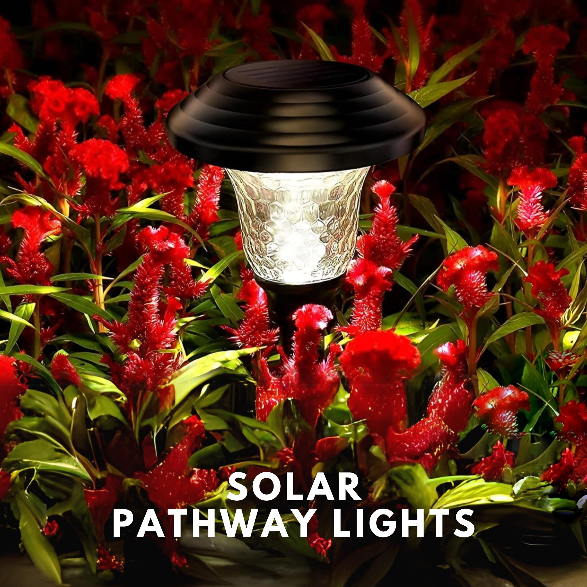 solar pathway lights