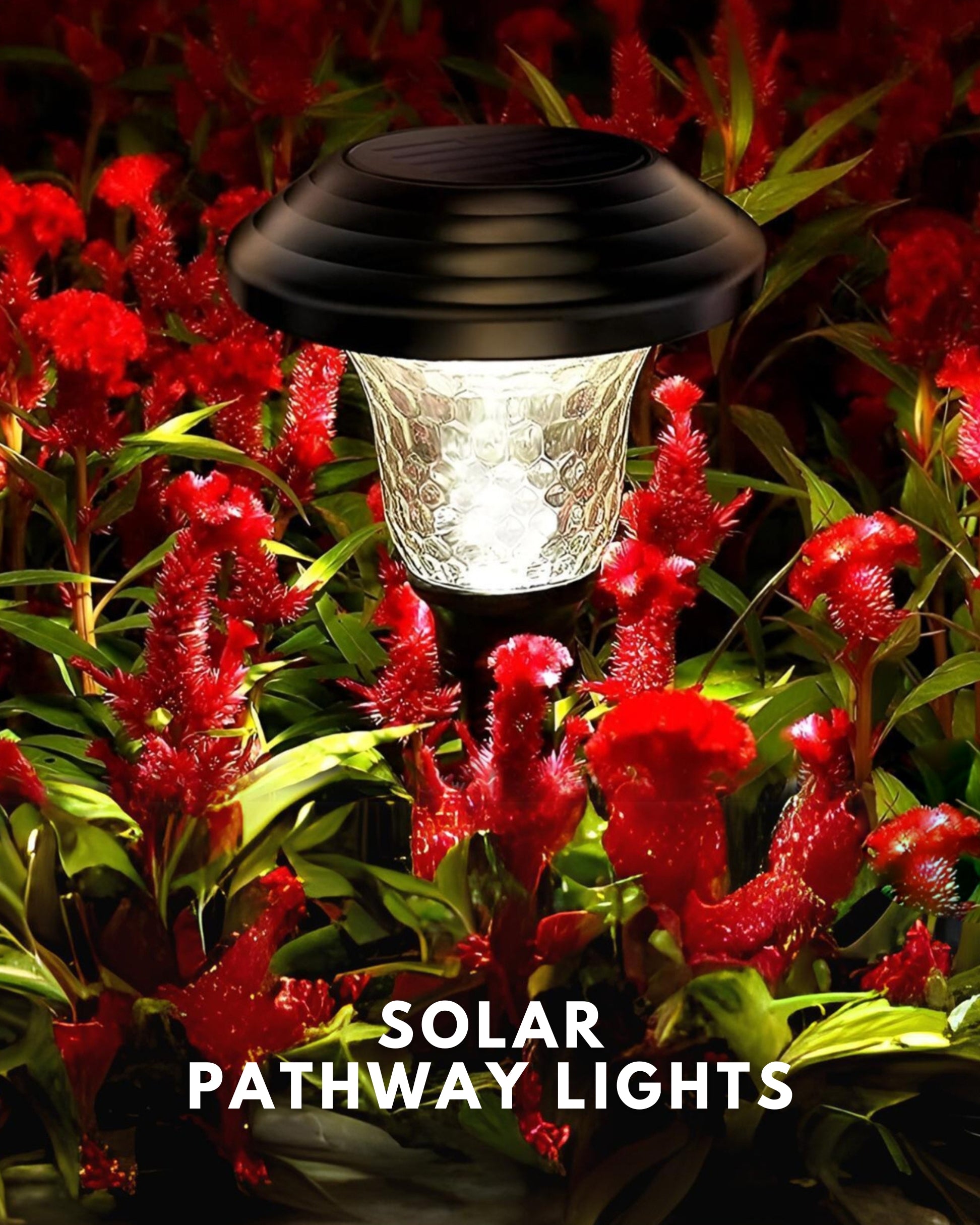 solar pathway lights