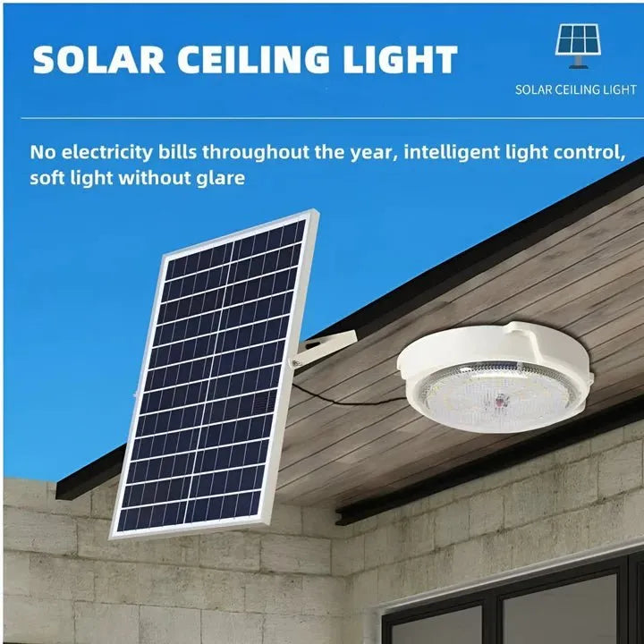 solar light supplier