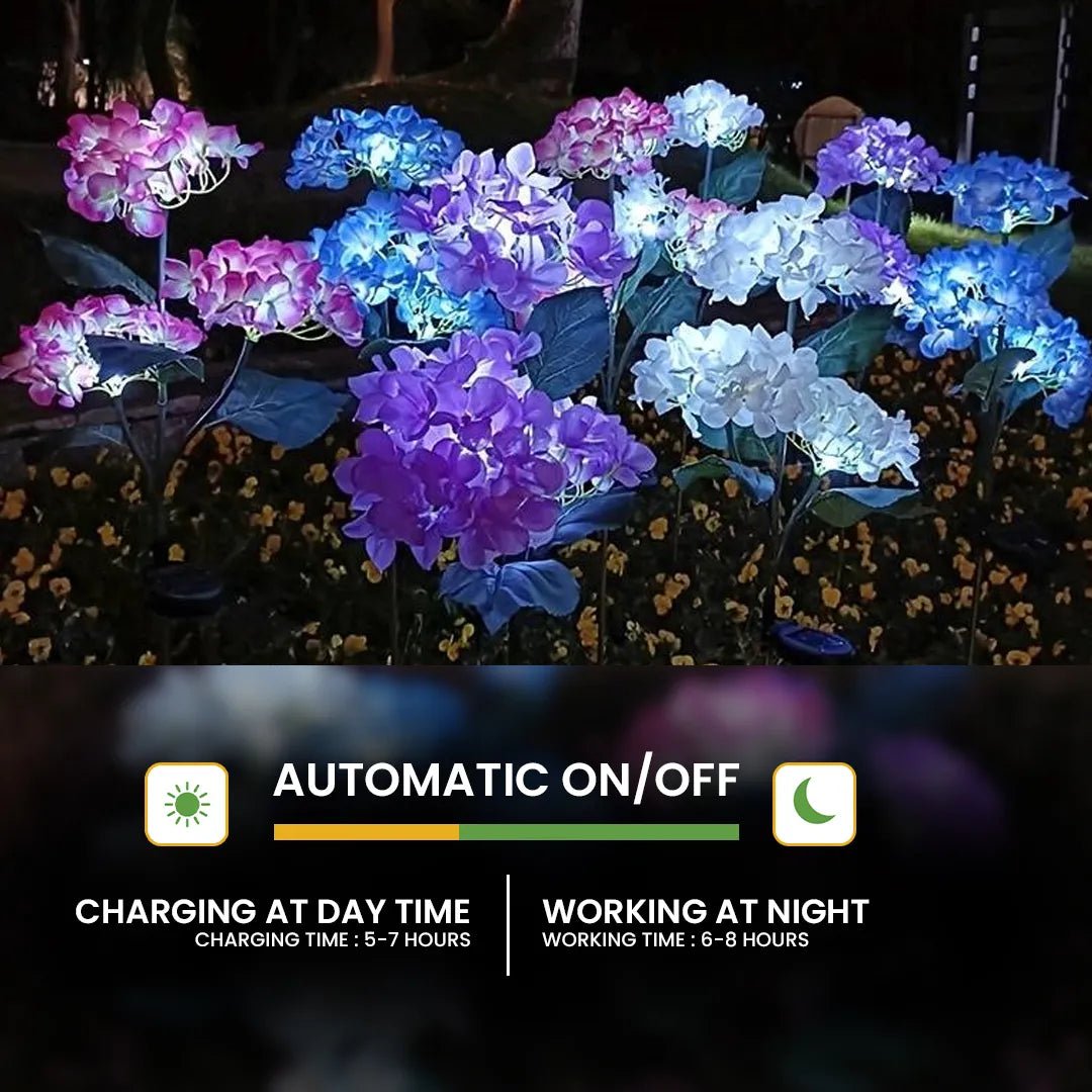 Hardoll Solar Decorative Light Hydrangea Flower Shaped RGB Color LED lamp for Waterproof Outdoor Home Garden Yard(Pink Color - Pack of 1) - Hardoll